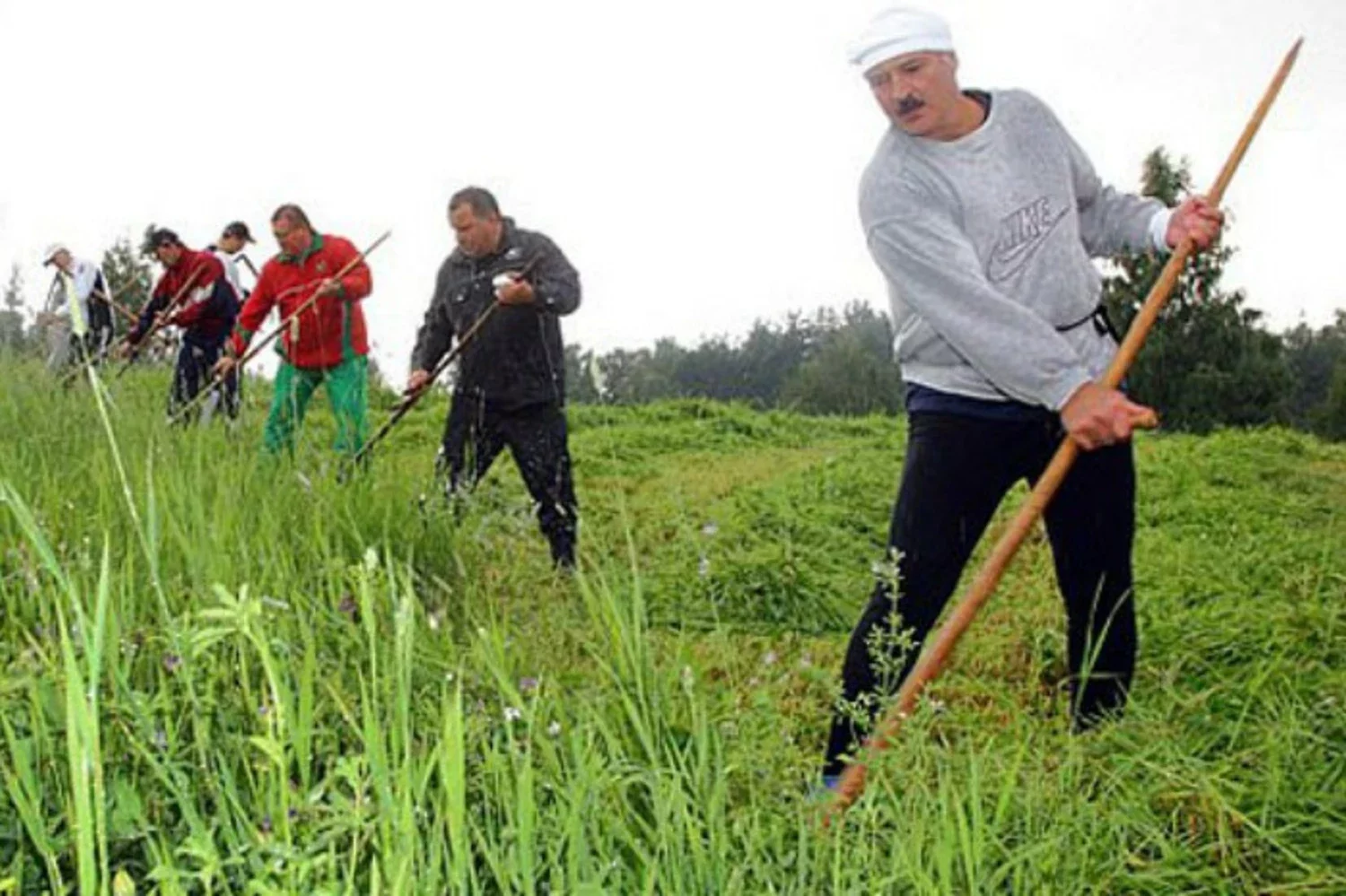 Косарь фото. Лукашенко косит. Лукашенко косит траву. Коса косить траву. Косарь косит траву.