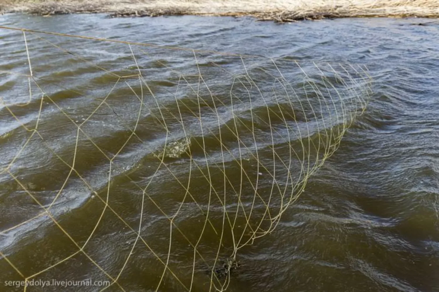 Лов рыбы сетью. Невод 110 метров. Сетка рыболовная. Рыбацкая сетка. Ставная сеть рыболовная.