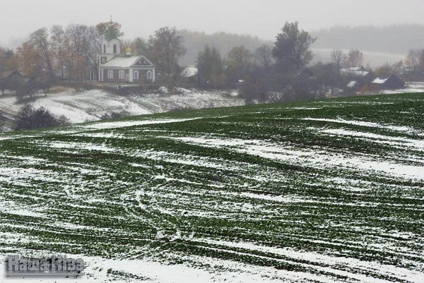 Первый снег под Воложином, архивное фото Юлии Дорошкевич.