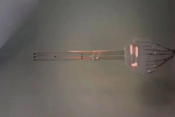 e-Dura implant, скриншот с видео