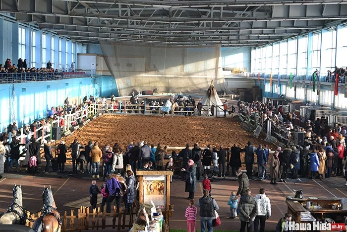 23 і 24 сакавіка ў мінскім спорткомплексе «Дынама» адбылася выстава шоў-выстава пародзістых коней.