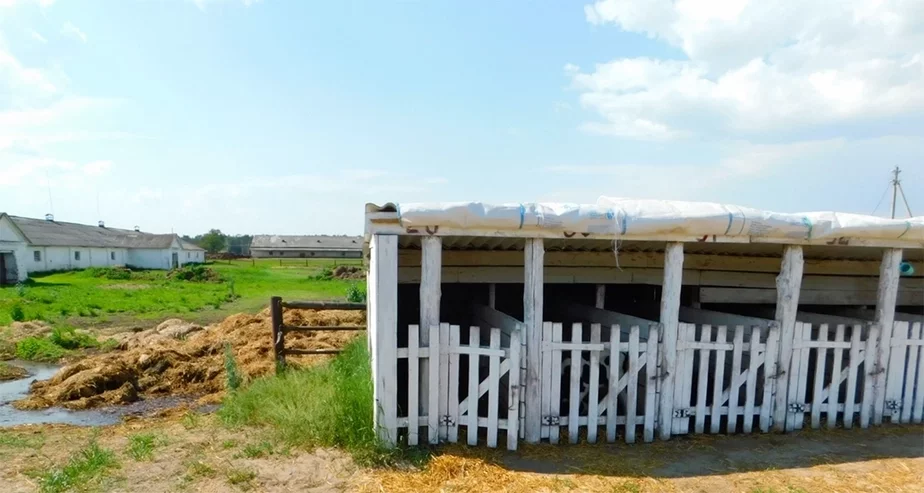 Ферма. Скриншот видео